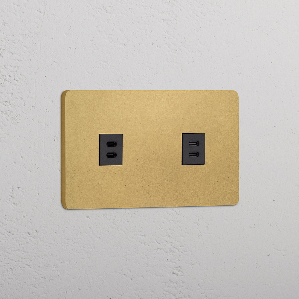 Grove Double 2x USB-C 30W Socket - Antique Brass | Black