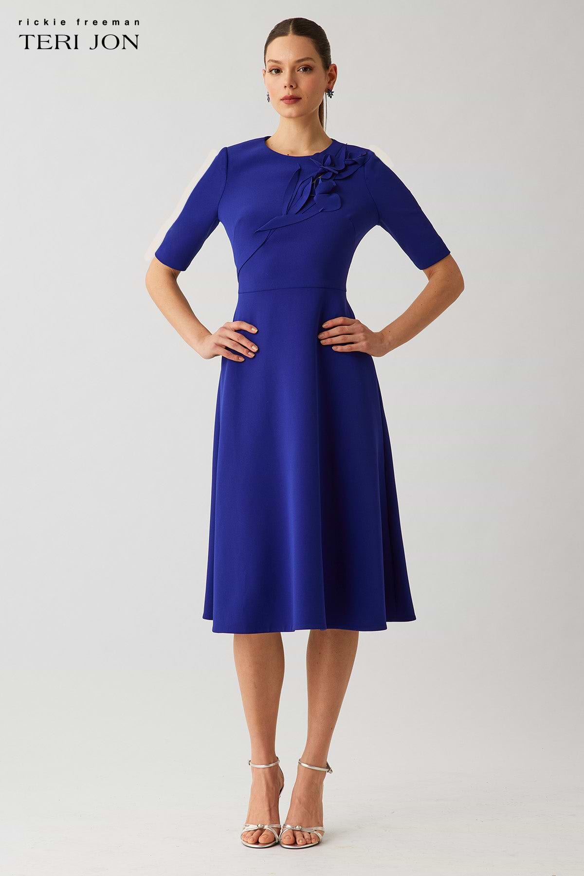 Color_Royal Blue