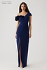 Color_Navy