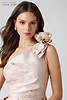 Color_Pink Gold