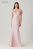 Color_Light Pink