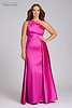 Hot Pink Plus Size Image