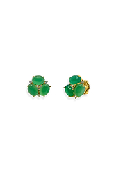 Color_Green/Gold