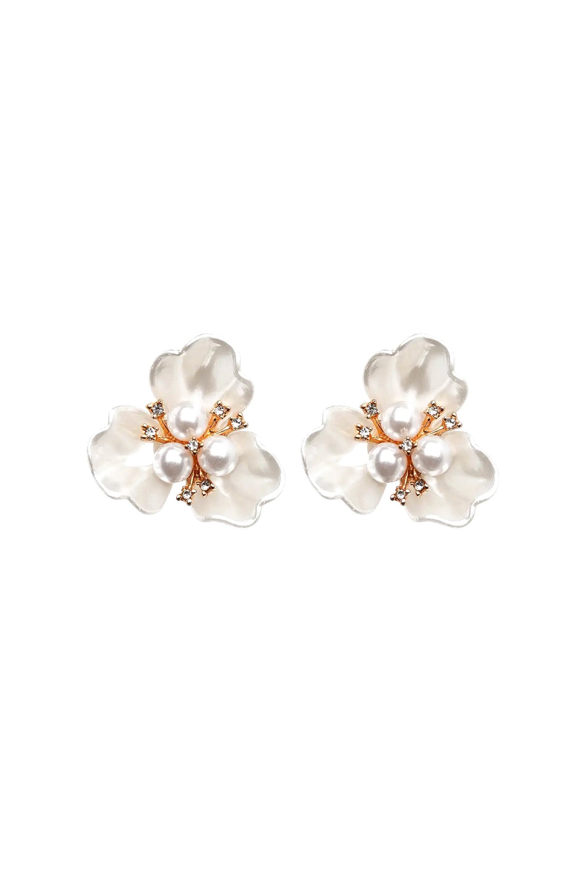 Color_Ivory