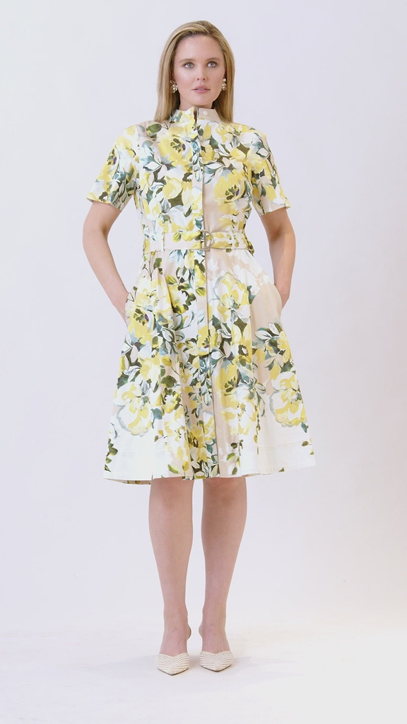 Cotton Print Mandarin Neck Shirtwaist Belted Dress –