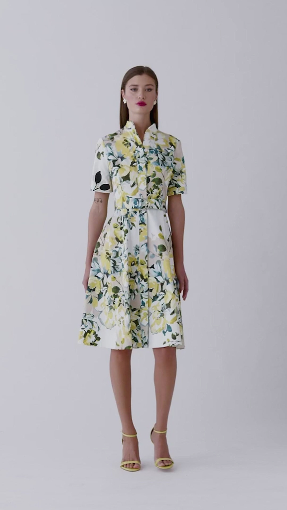 Cotton Print Mandarin Neck Shirtwaist Belted Dress –