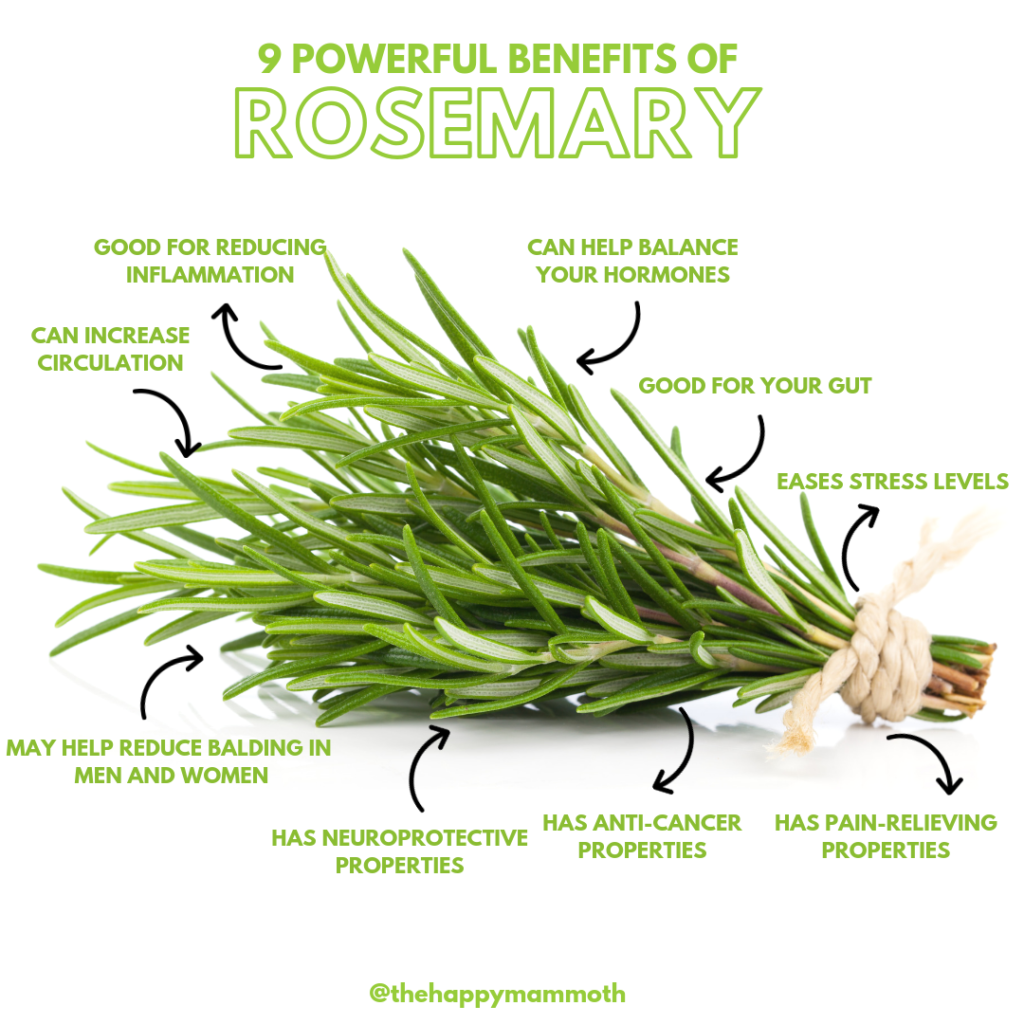 rosemary infographic