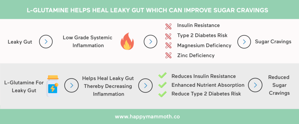 l-glutamine sugar cravings