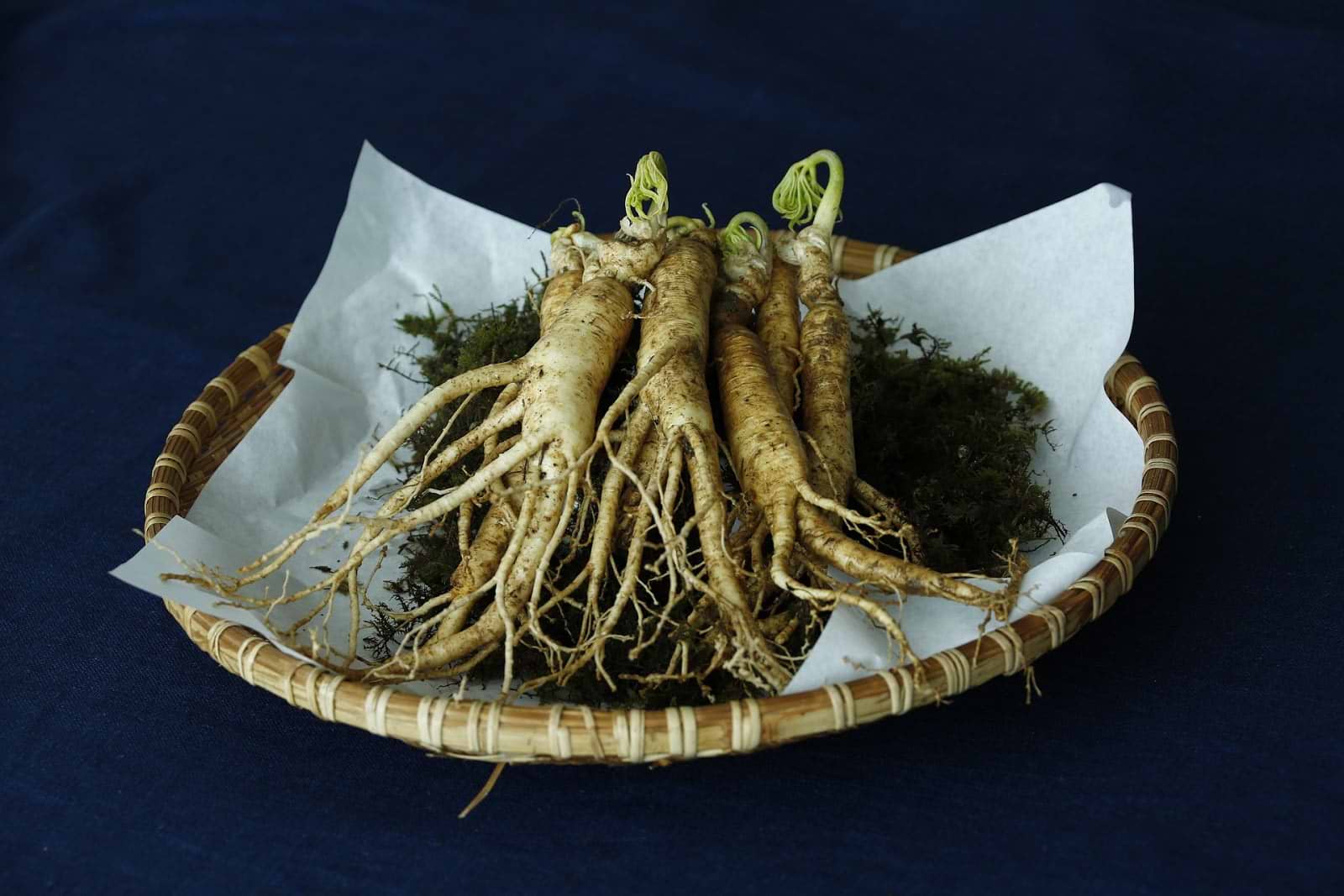 Menopause supplements: ginseng