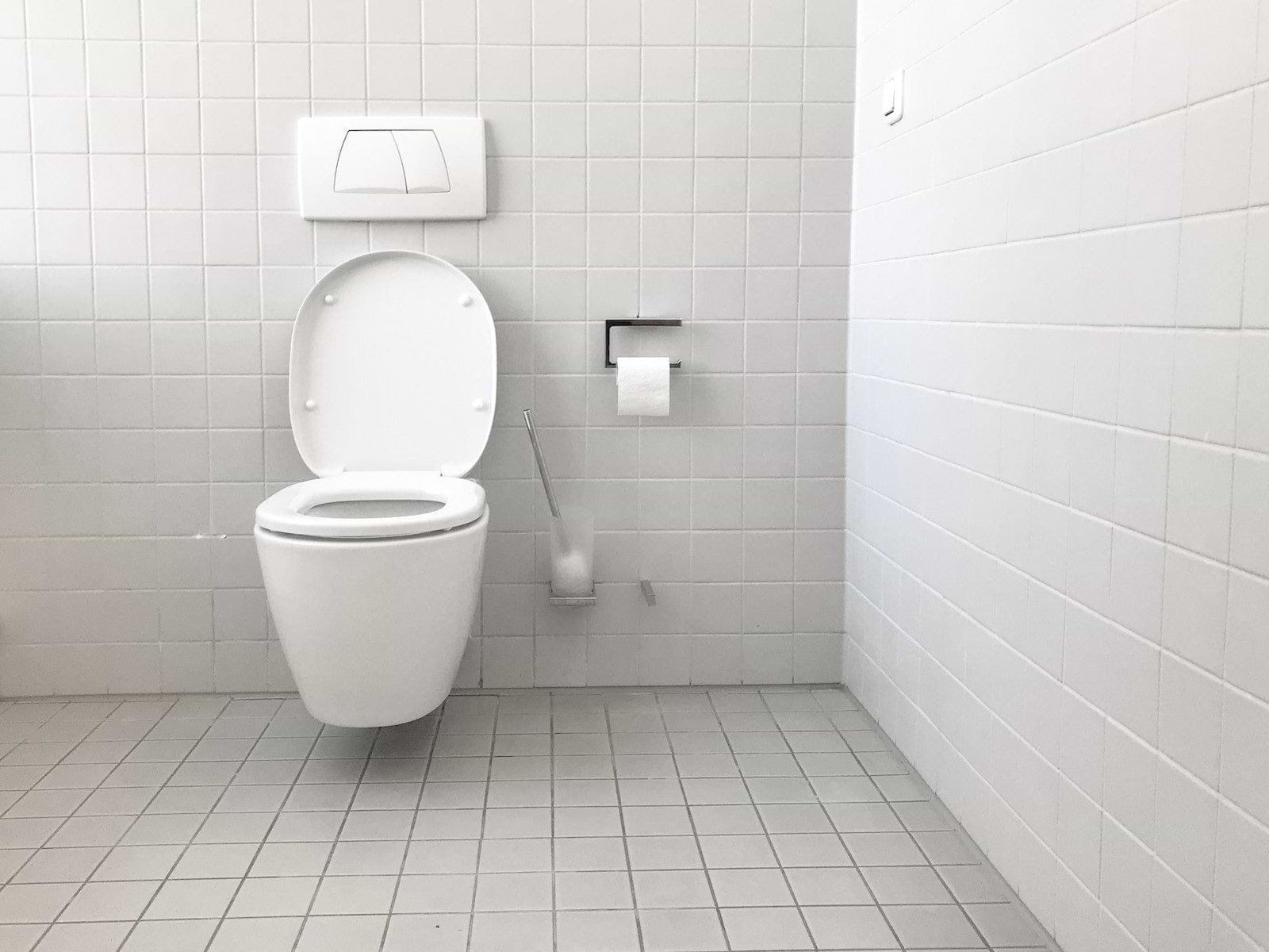 Gut dysbiosis: a toilet
