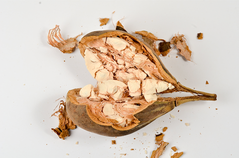 Baobab Fruit 