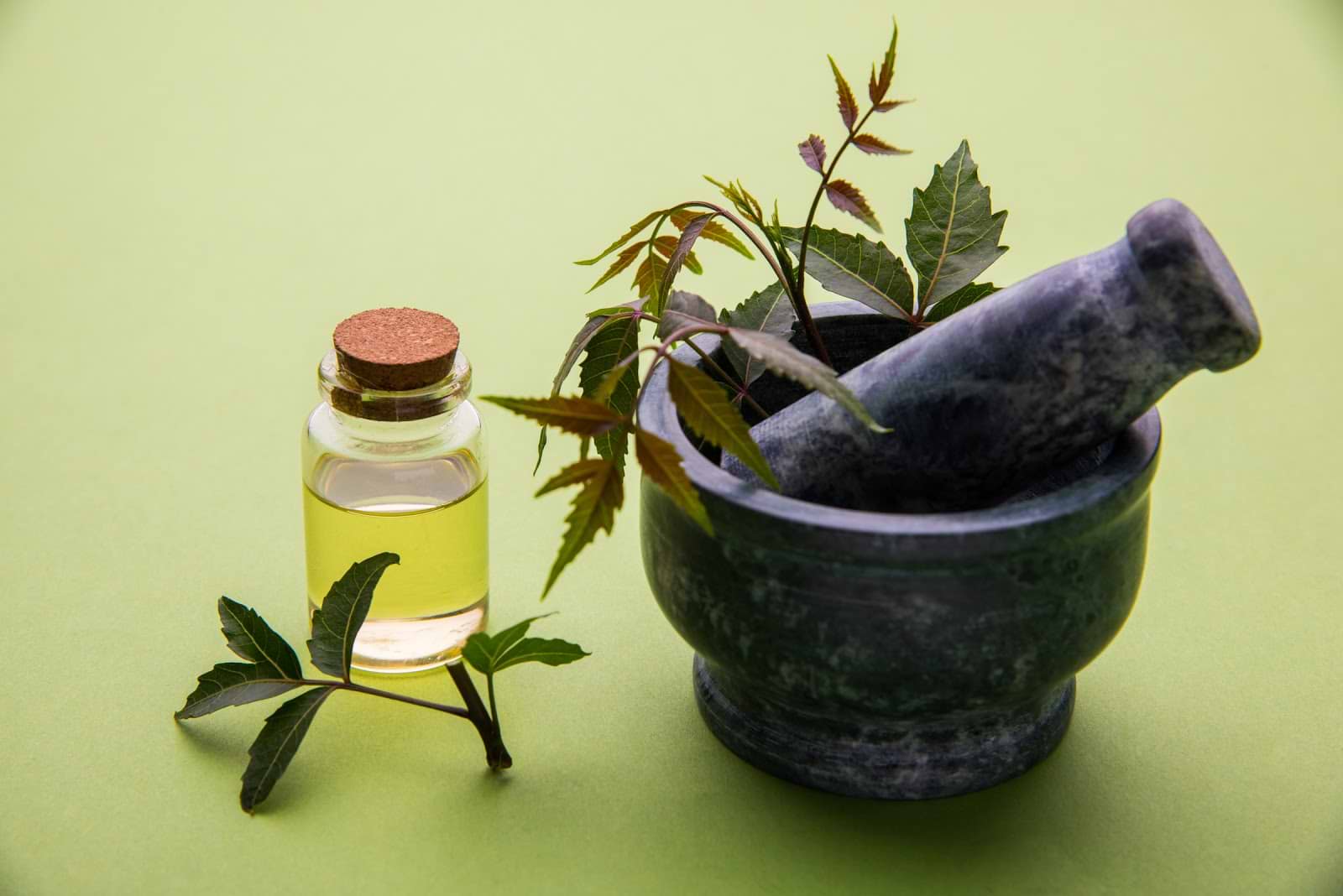 Antiviral herbs in a mortar and pestle next to a bottle of neem oil