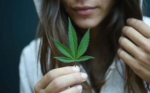 Marijuana leave