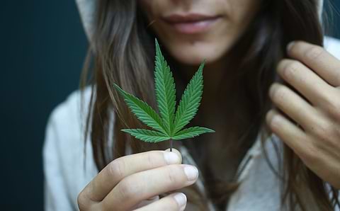 Marijuana leave