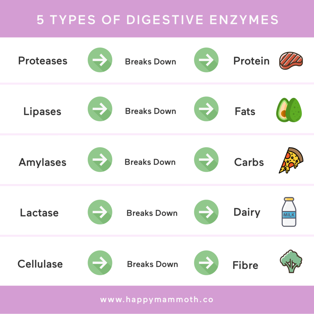 digestive enzymes