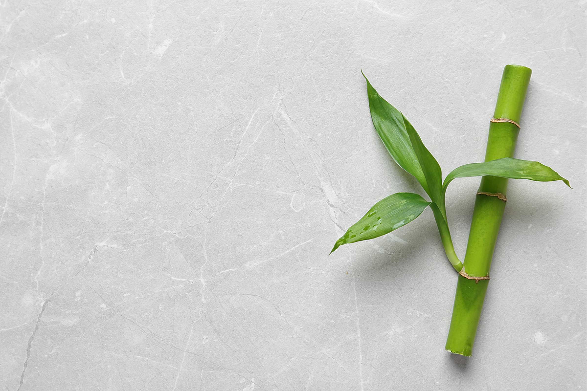 Bamboo Silica - a woman's secret weapon for long, strong, luxurious hair and beyond.