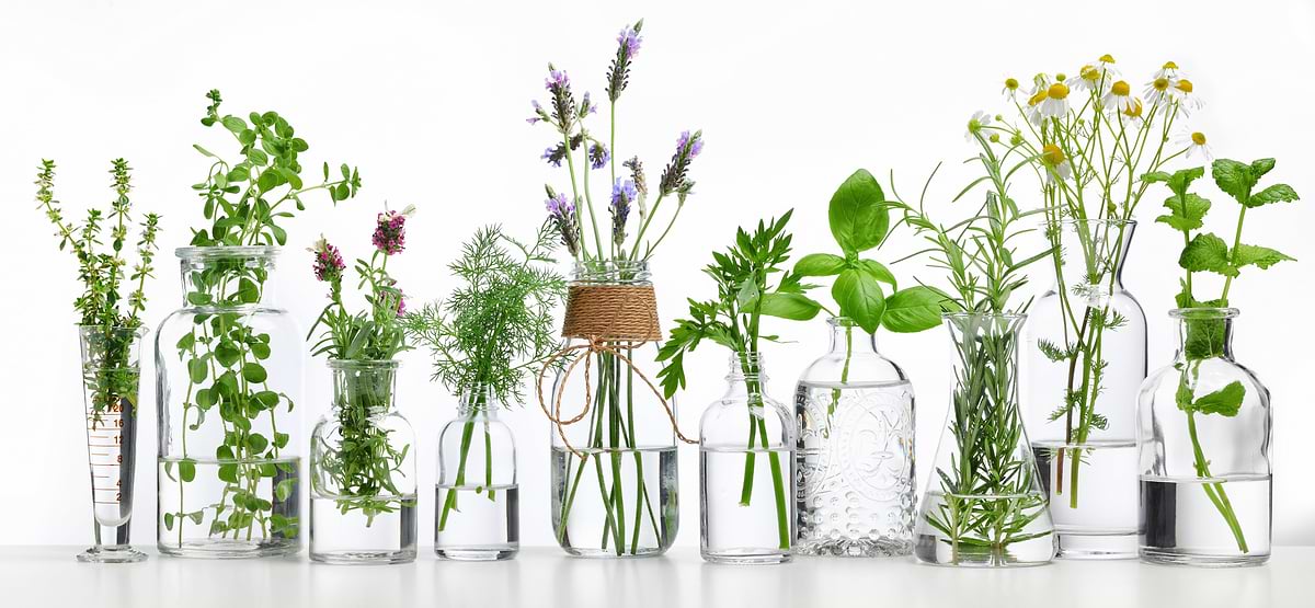 Essential Oils: Do they really work?