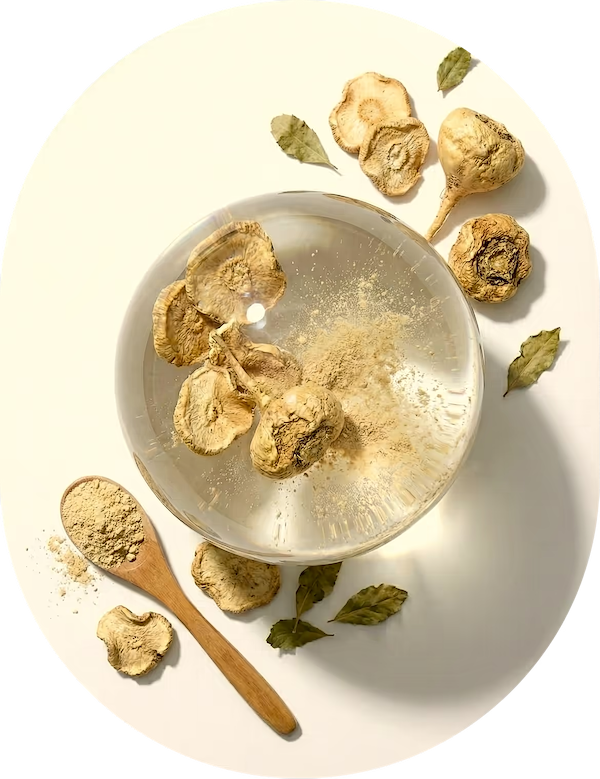 Maca Extract