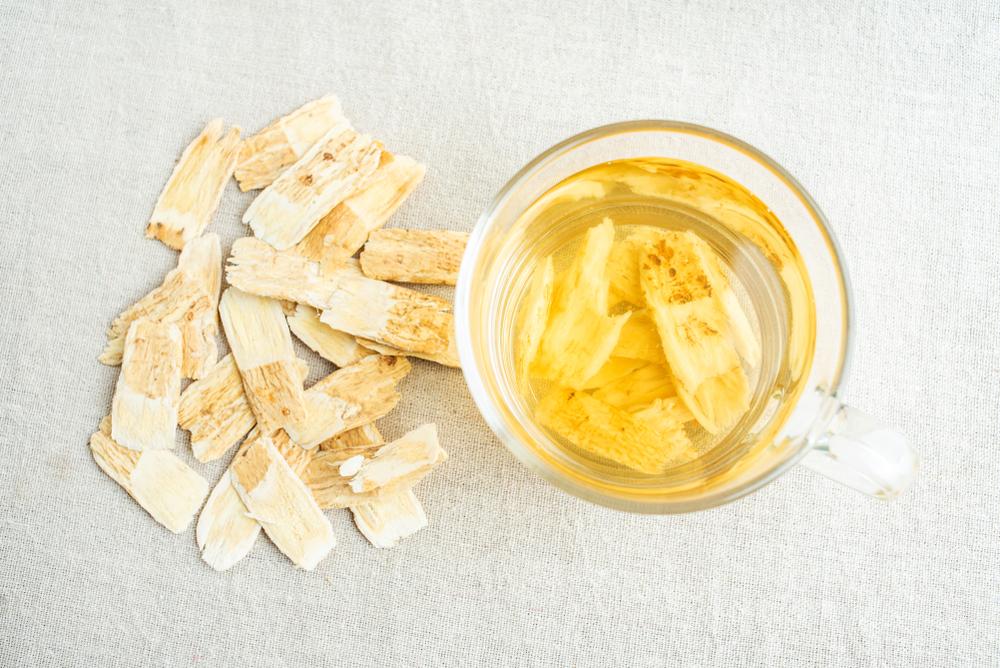 astragalus benefits