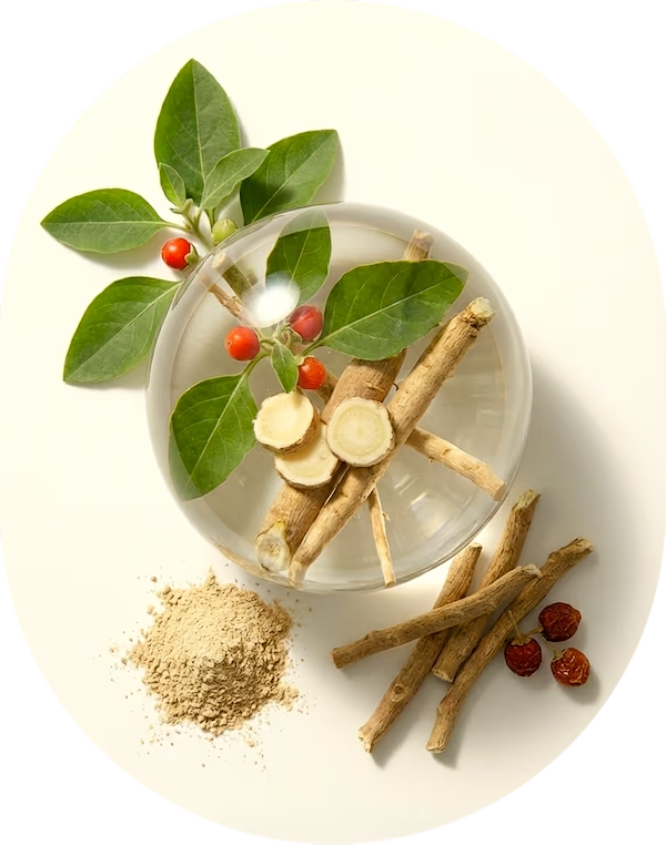 Ashwagandha Extract (KSM-66®)