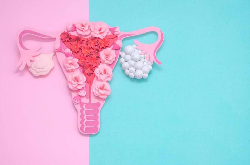 A Guide To Polycystic Ovary Syndrome (PCOS): Symptoms, Causes and Treatment