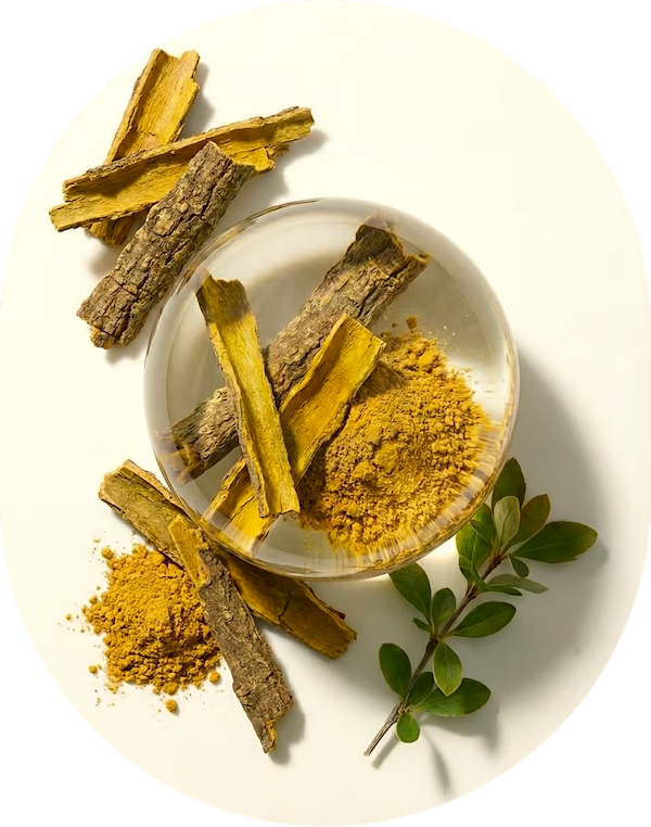 Berberine Bark Extract