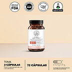 The Ultimate Weight Loss Protocol 4.0