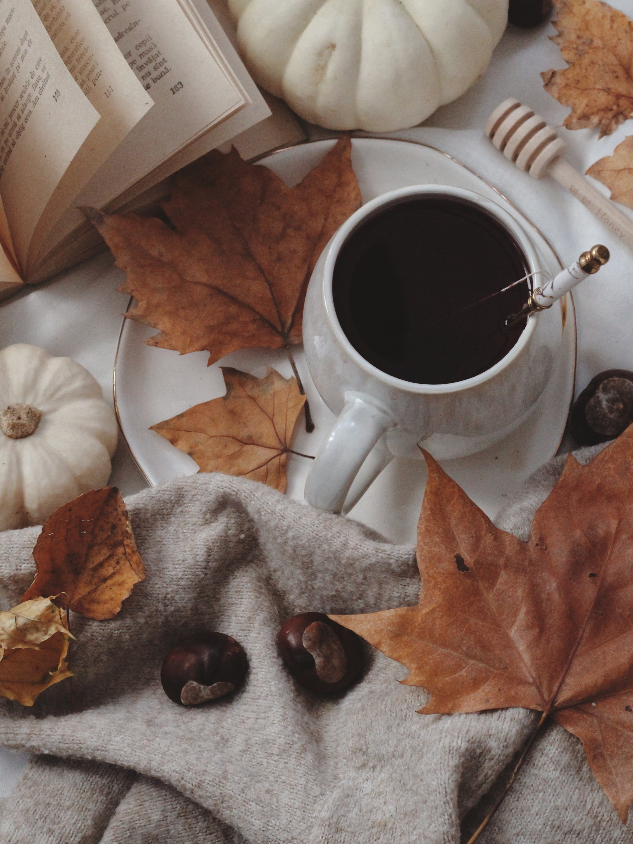 A Change of Season Calls for a Change of Pace