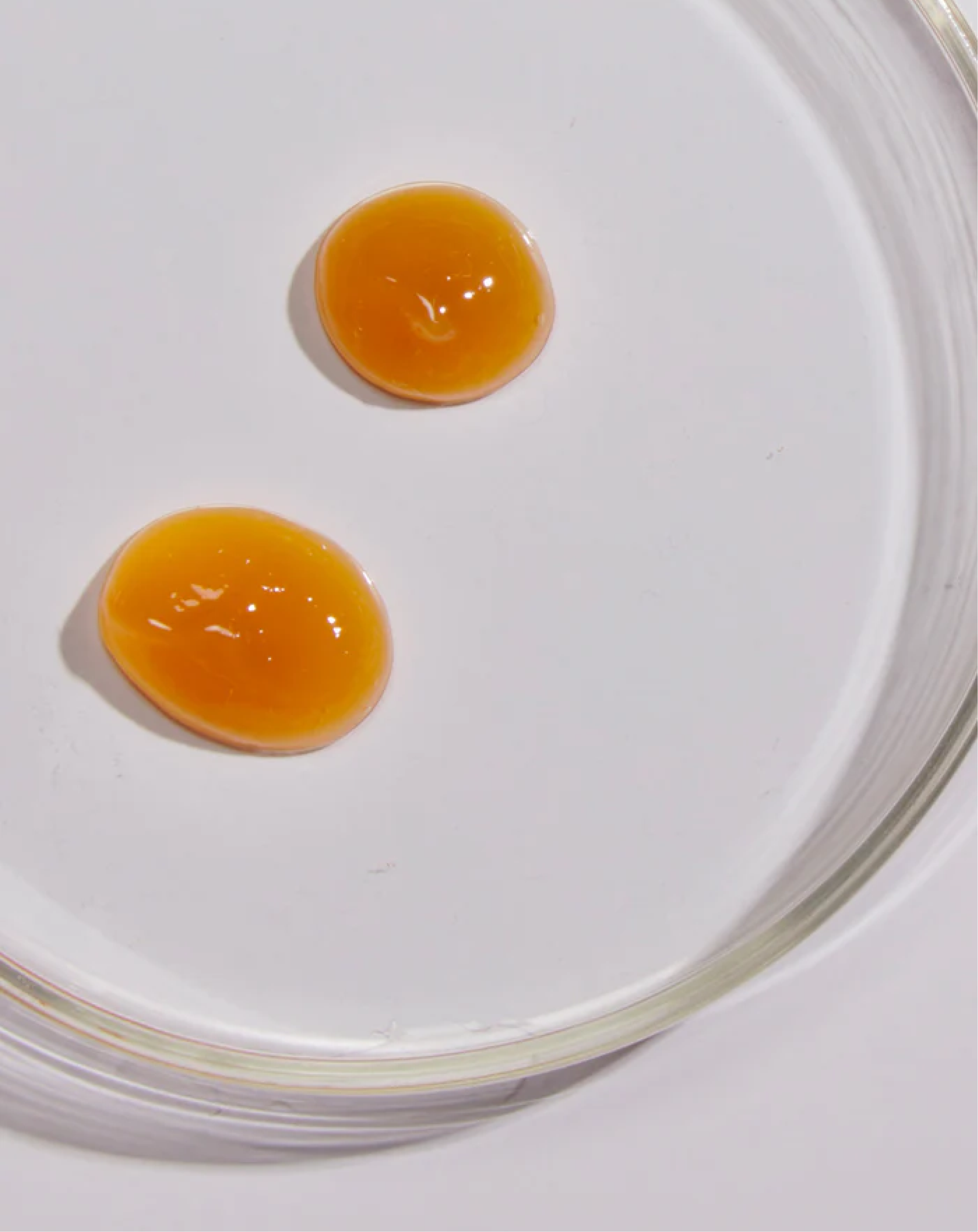 Altrient Magnésium Liposomal