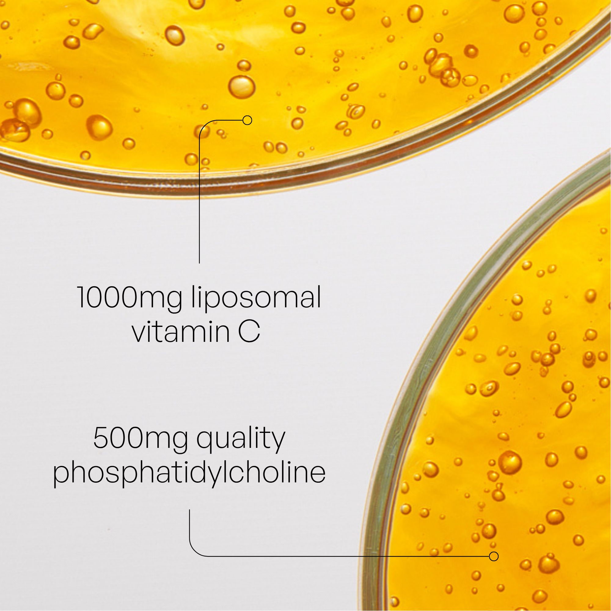 Altrient C Liposomales Vitamin C