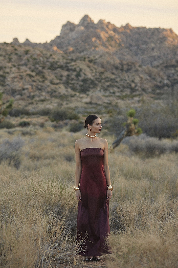 Strapless Draped Maxi (Brown Ombre)