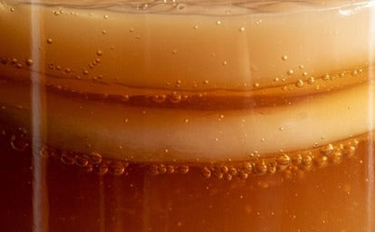kombucha fermented drink closeup