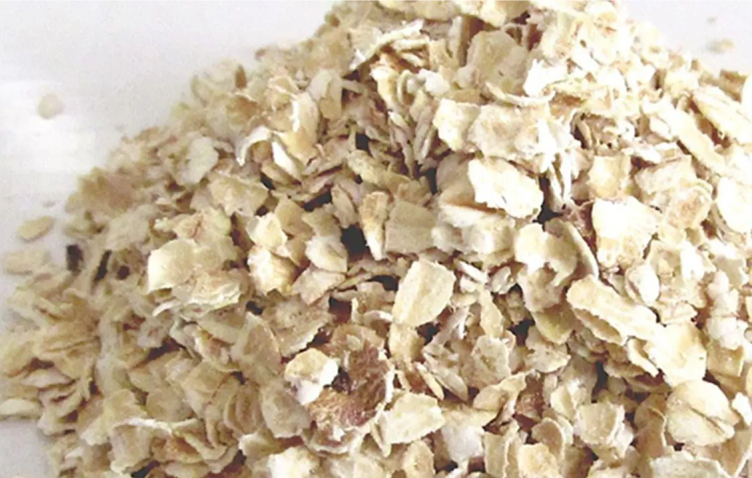 Oat flakes close-up