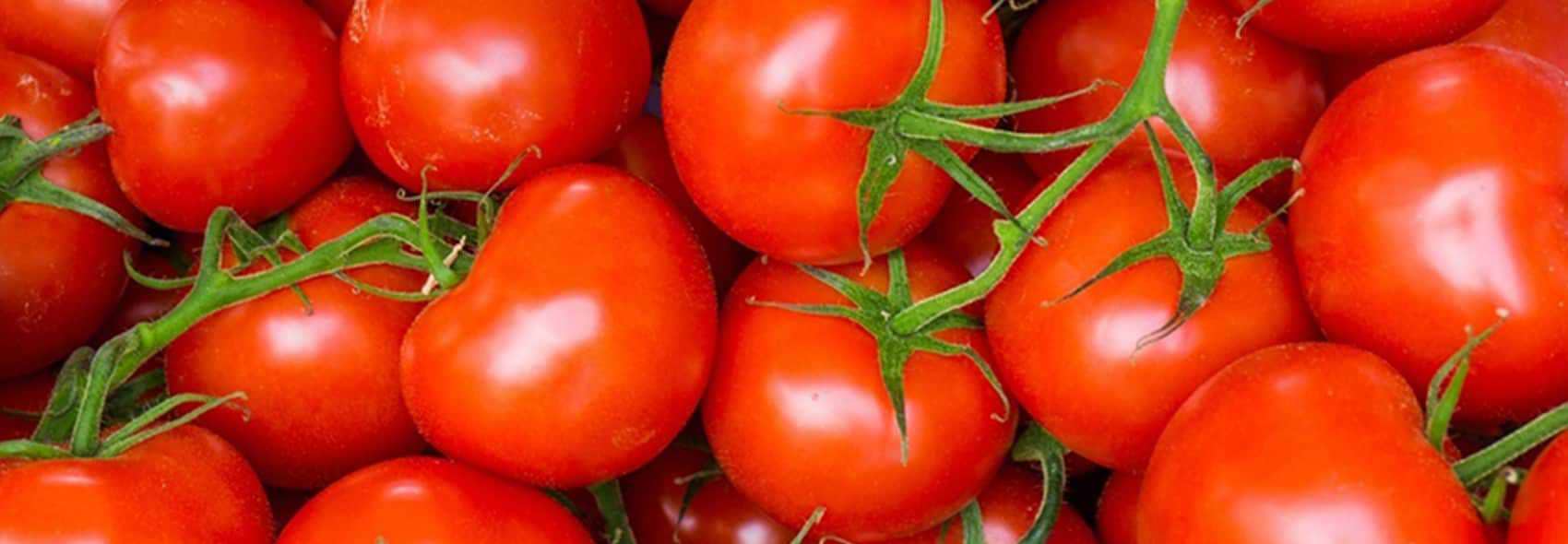 Carotenoids tomatoes