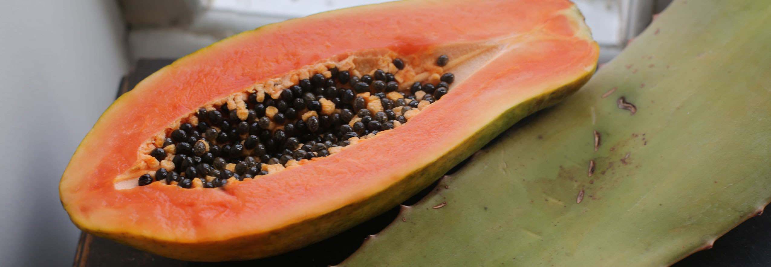 papaya near aloe vera
