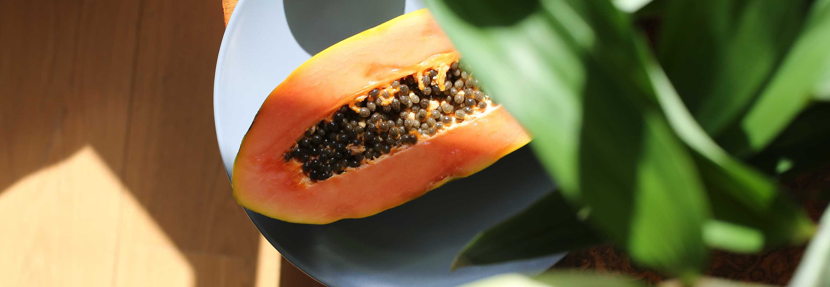 papaya behind palm leaf