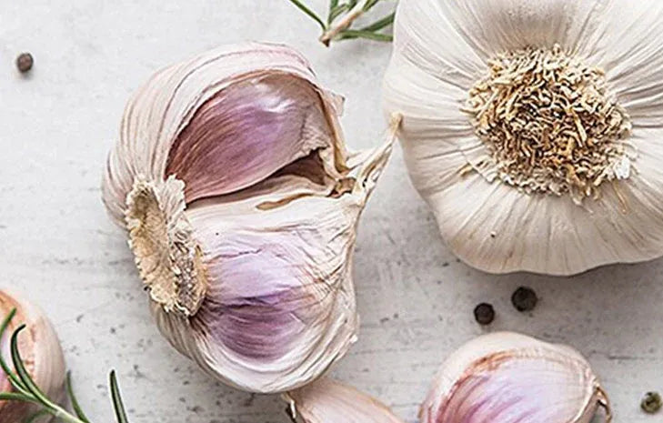 Image of garlic clove