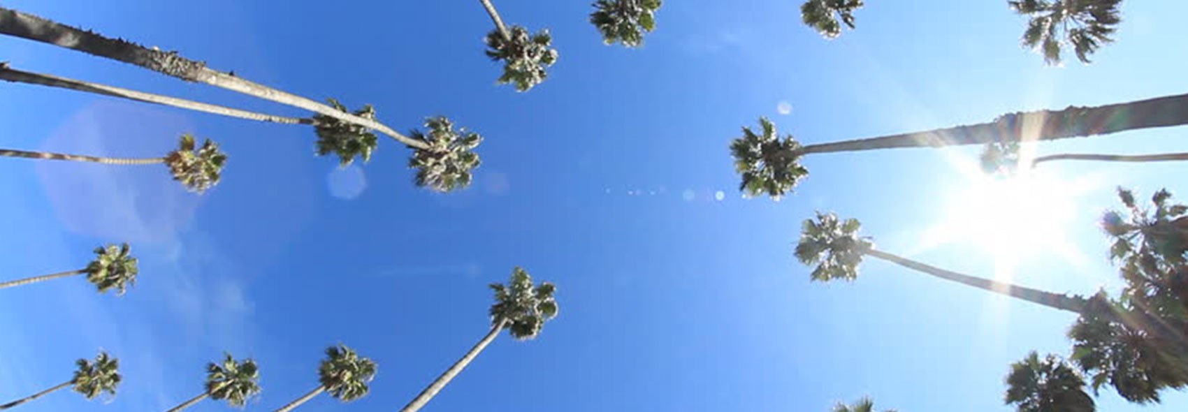 Vitamin D and K LYMA 5