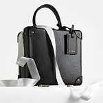 LYMA x Globe-Trotter Case