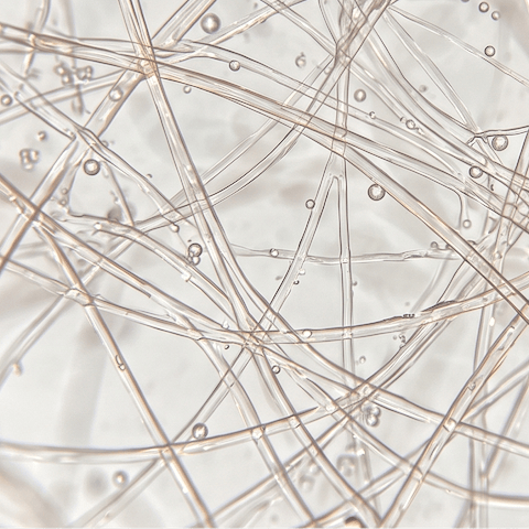 Microbiome Intelligence