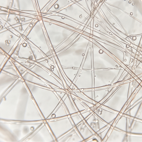 Microbiome Intelligence