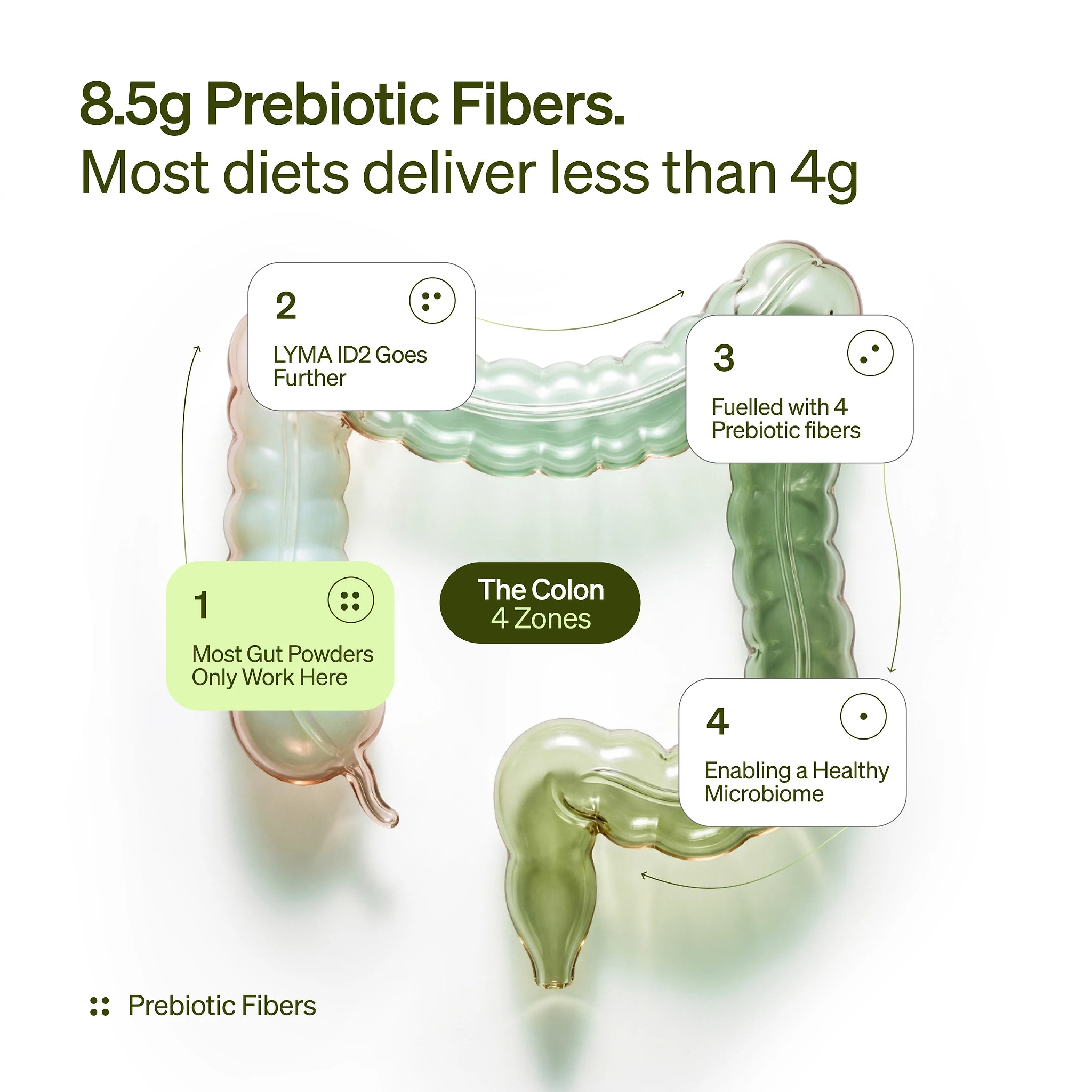 LYMA ID² Refill - More than a gut powder. Five decades of longevity research. Engineered in one daily dose.
