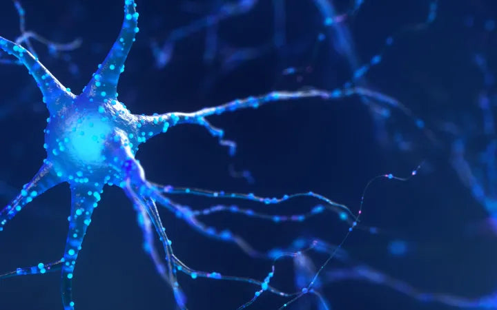 A recent study has found that infrared treatments could be beneficial for people with Alzheimer's