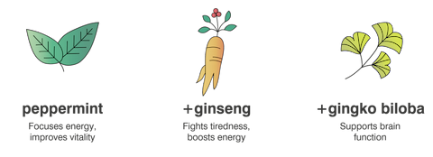 peppermint, ginseng and ginko biloba illustration