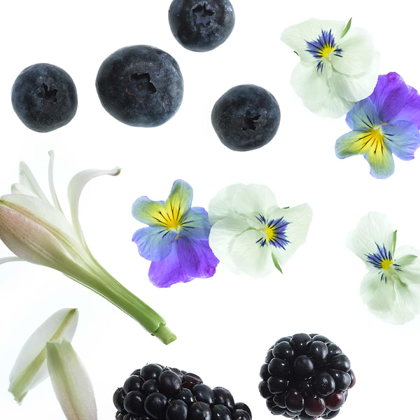 BERRY OASIS