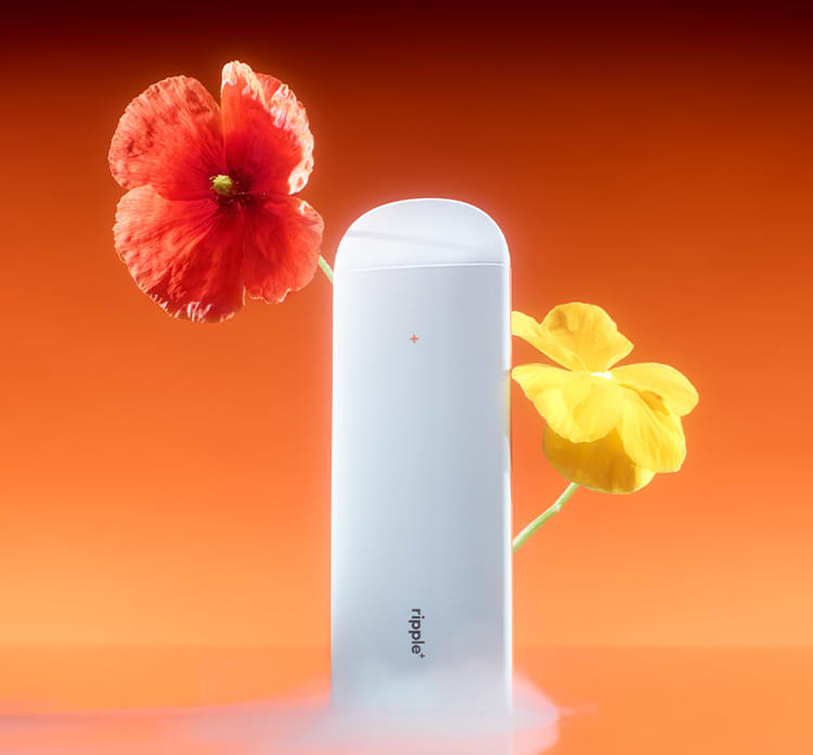 Video 1 Image