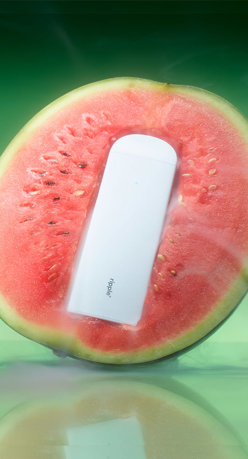 Video 1 Image