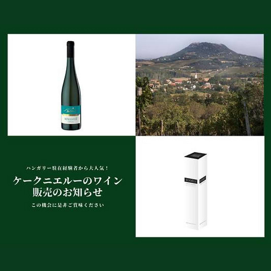 ハンガリー駐在経験者から大人気！ケークニエルーのワイン入荷のお知らせ