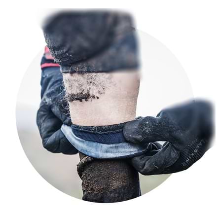 Sealskinz Hydrostop Socks