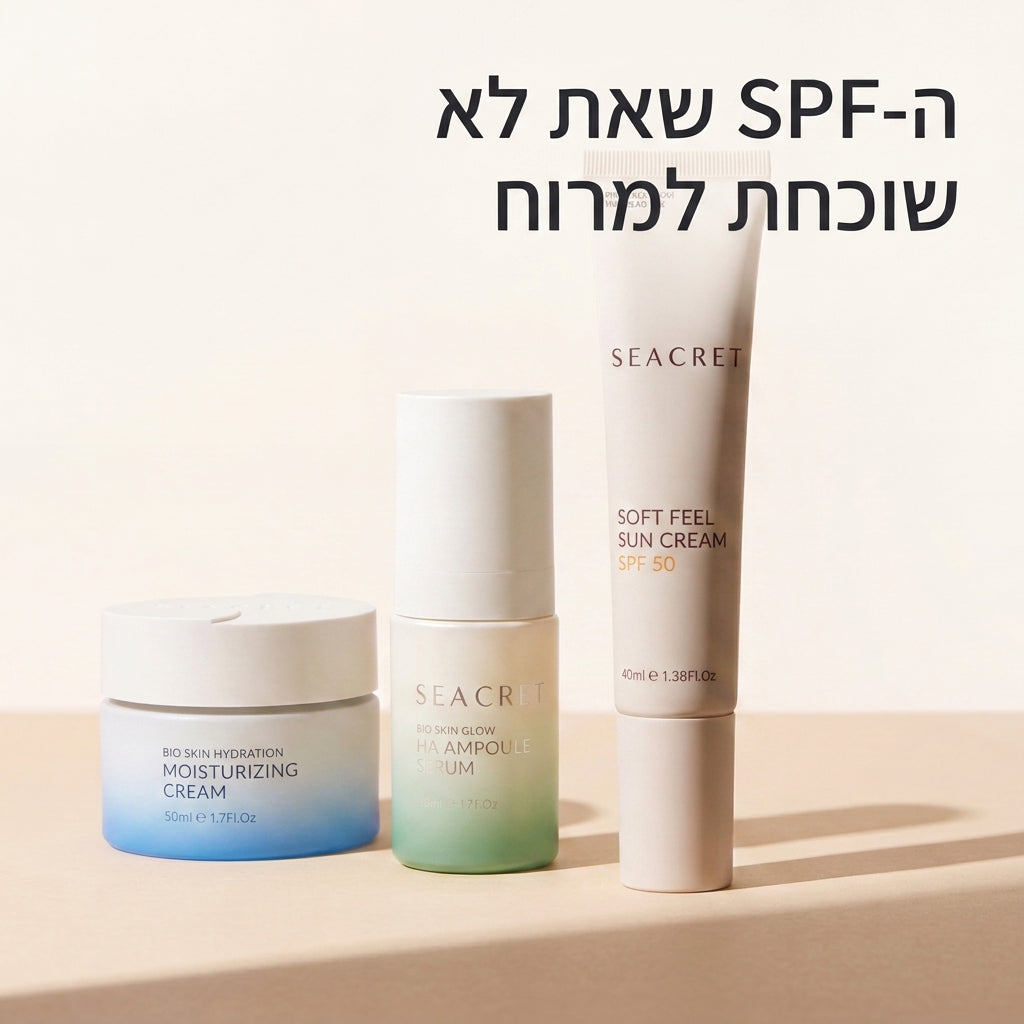 להתחיל את היום